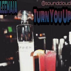 Turn You Up Prod. By DJ HBK RoseGold