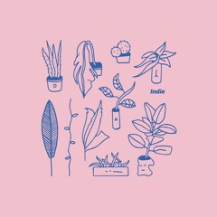 Indie