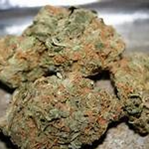 brokush001 - lip gloss.wav