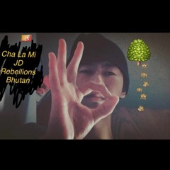 Cha la mi (monkey no work) JD Rebellions