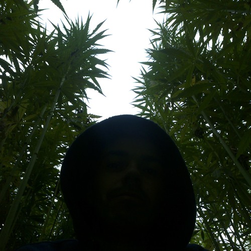 .MukkE.JointZ.MischeE.