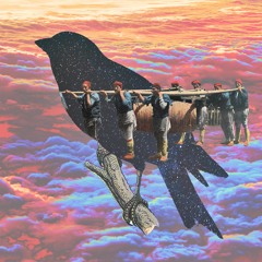 Flight Club №5 — mf jaeger
