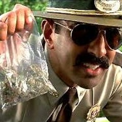 Watching cops on a councle TV