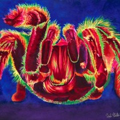 Tarantula - Kefatroniques (Jahn Kefa Copyright 1988)