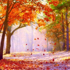 Like Autumn Leaves 2 - 5-2017