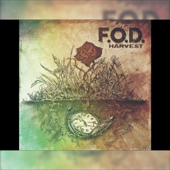 F.O.D.  - So Far