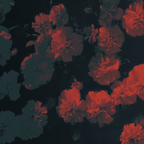 地上の花 - A Flower Of The Ground
