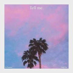 Tell me feat. Cevvy Cev (prod. tmzk)