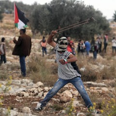 من المخيم تولد الرؤيا