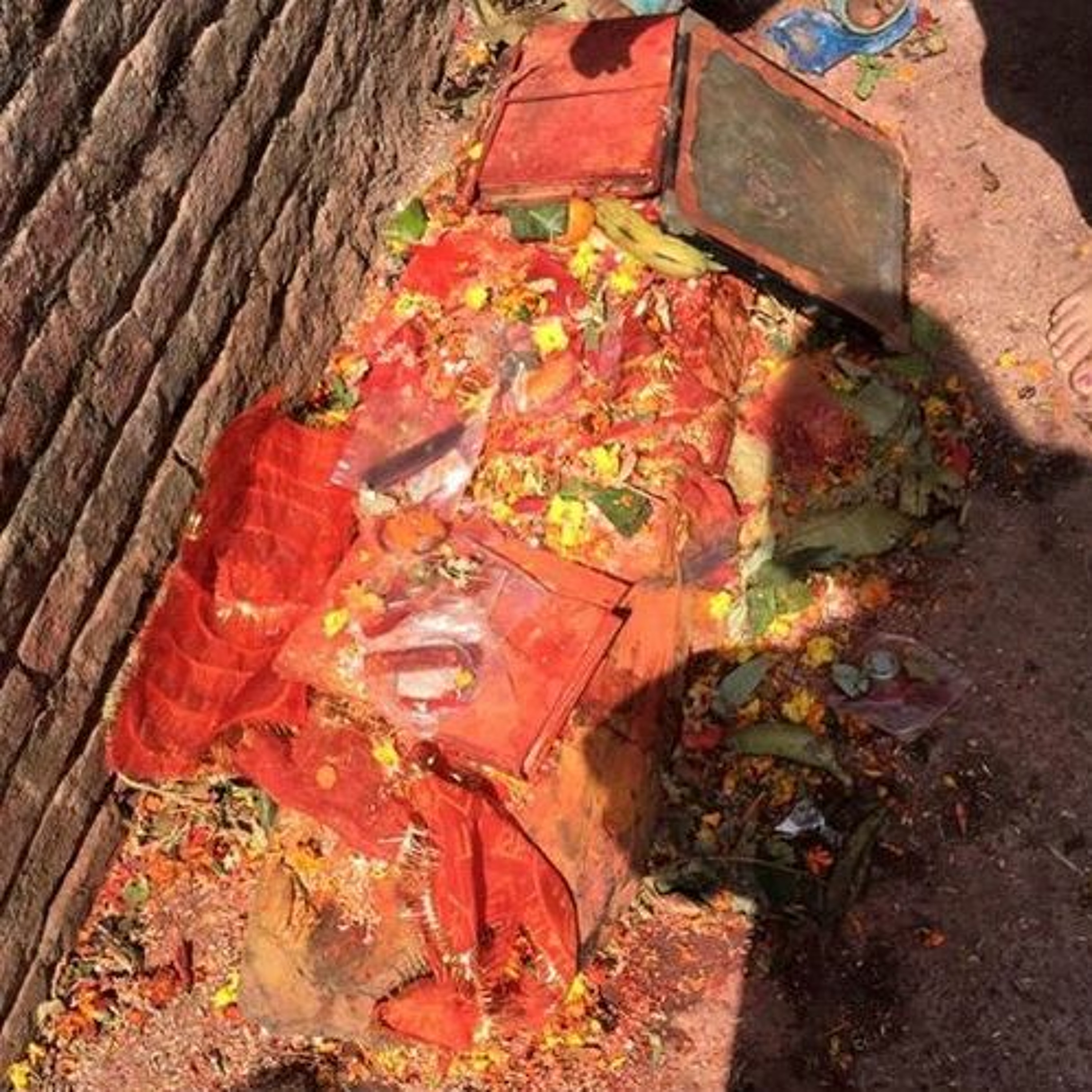 स्वस्थानी वाचन, छब्बिसौं अध्याय