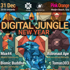 Max 44 live at Pink Orange, Goa (NY 2017)