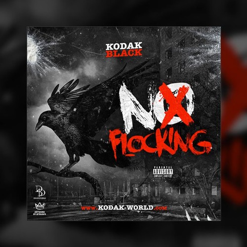 No Flockin Freestyle