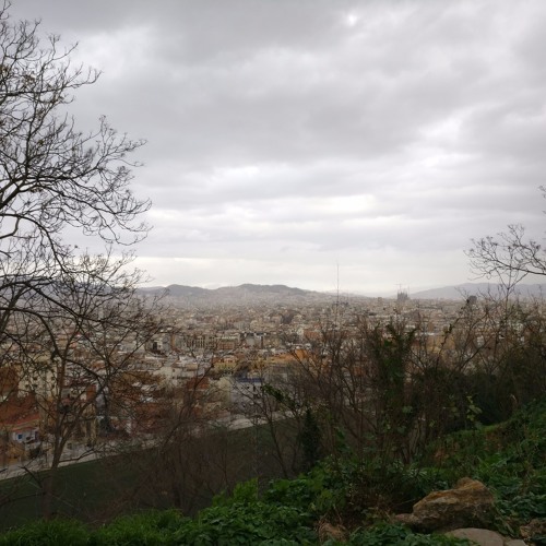 Week 5 - Lookout Post