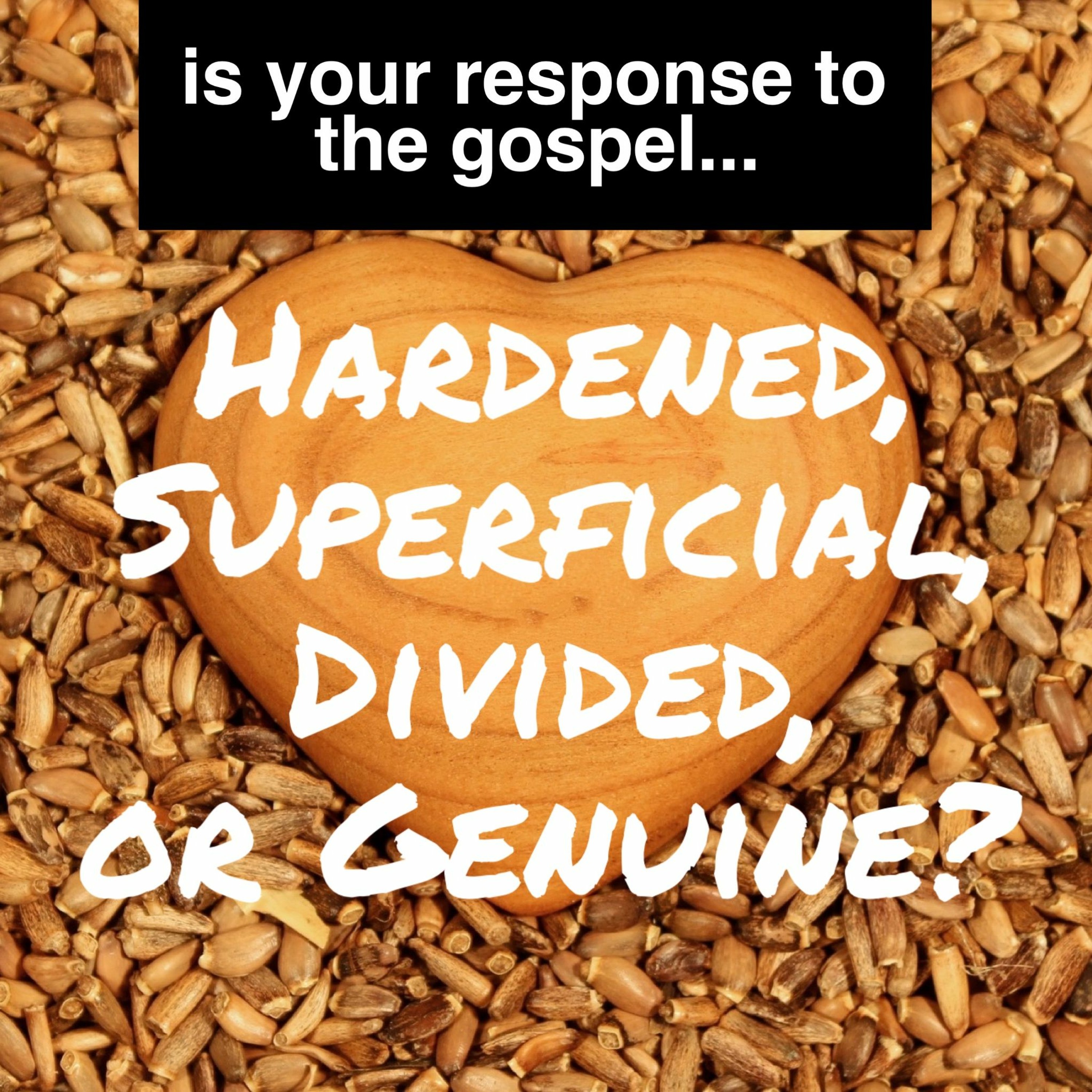 2/5/17 AM - What Is Your Response To The Gospel? episode artwork