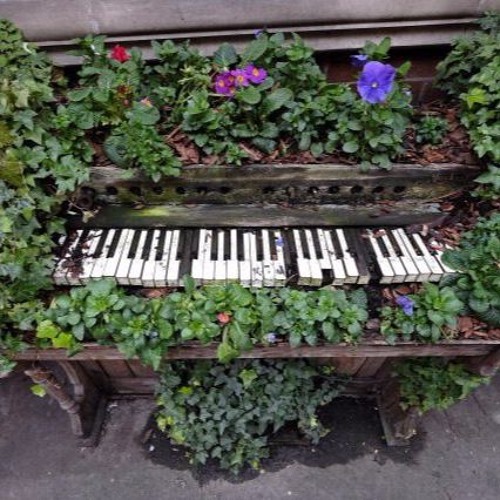 لو قامت الحروب وهذه المعزوفه تصدح فلن أبه