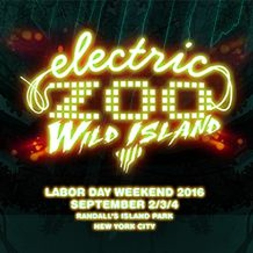 Charles Meyer @ Electric Zoo NY 2016