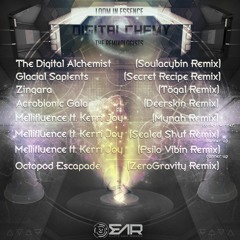 Loom In Essence - The Digital Alchemist (Soulacybin ReMix)