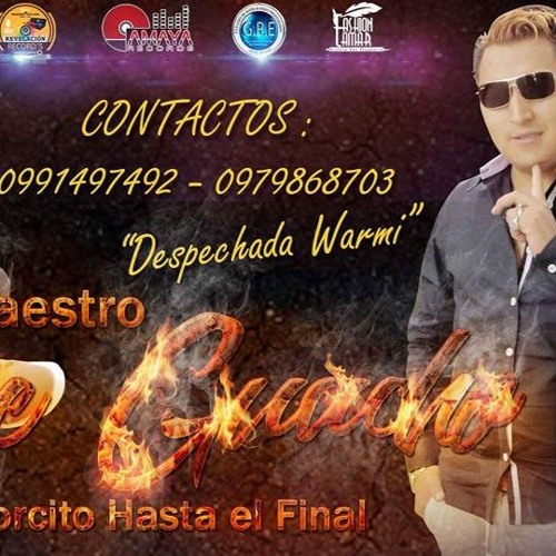 Maestro Jose Guacho  Despechada  Warmi Remix  6x8 (Dj_Lucas)