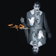 Excess Baggage ~ Staind