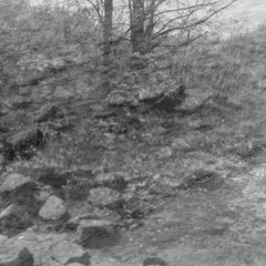 wicked them come (heathen dub)