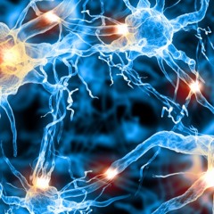 1000778974769 (prod. LoLo)