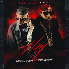 Hoy- Nengo Flow Ft Bad Bunny