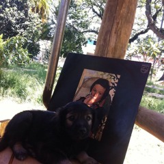 Colletive Dreams - Tranças