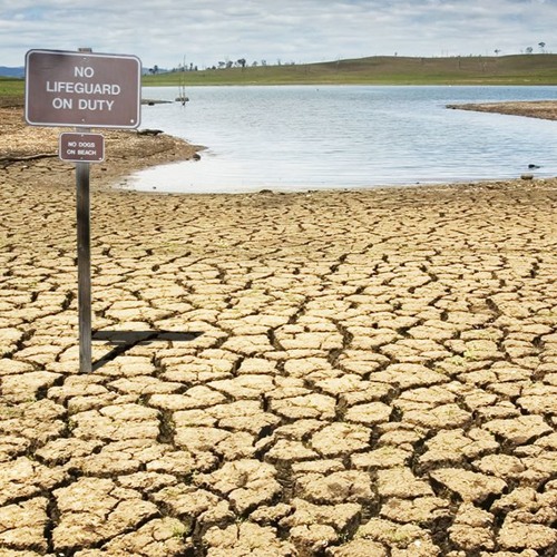 Drought Ft. D. Rog & Cel