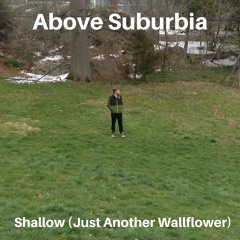 Shallow (Just Another Wallflower) [Single Version]