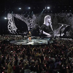 Taylor Swift - I Don't Wanna Live Forever (Acoustic live in Houston)