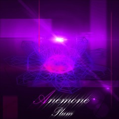 Plum - Anemone