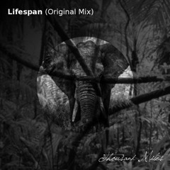 Lifespan (Original Mix) [Free Download]