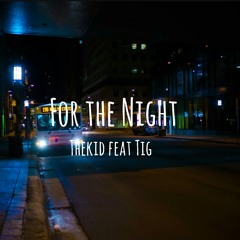 For The Night (Feat. Tig)