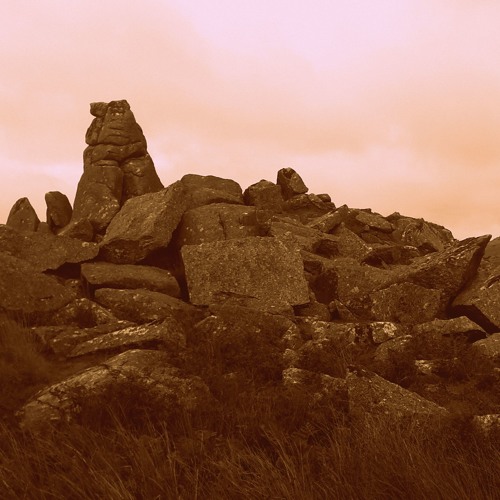 Hardcore - Happy Violin Version by pietro & jahva