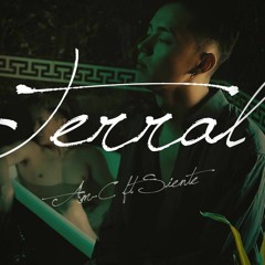 AM-C & SIENTE-TERRAL