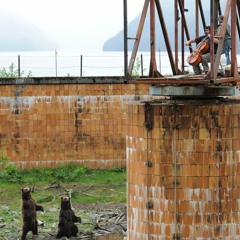 DVPH - PIKK LAUD ( KIENRA REMIX)