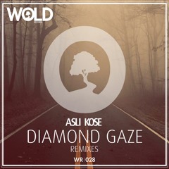 ASLI KOSE - Diamond Gaze (GADI MITRANI Remix)