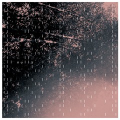 PREMIERE: George McVicar - Pollen [Aa3 Recordings]
