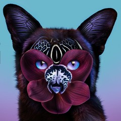 Galantis - Love On Me (En Bra Remix)