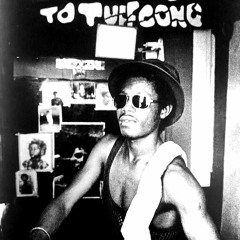 The Wailers / Tuff Gong Sessions 1970-71