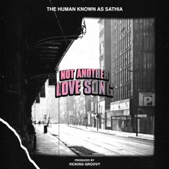 Not Another Love Song [prod. Vicking Groovy]