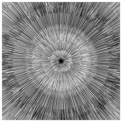 TOYDRUM - Iv'e Got A Future (feat. Gavin Clark) (Nick Cave & Warren Ellis Rework)