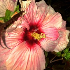 I've Never Been Loved By Someone (Before I Had Met You)