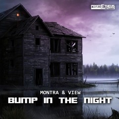 Montra & VIEW - Bump In The Night