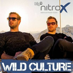 Wild Culture - bigFM MIX [JAN 2017]