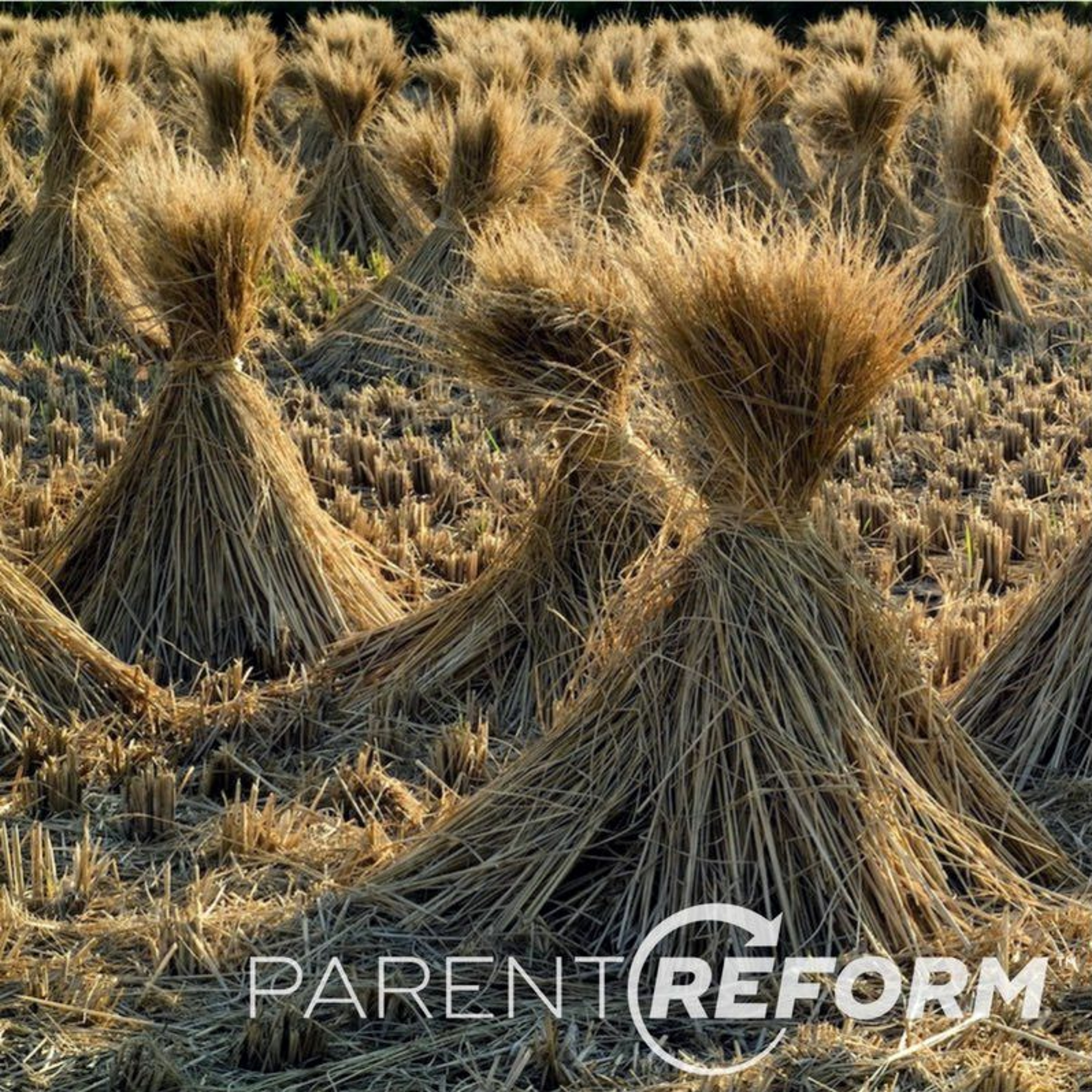 Sow to the flesh and reap of the spirit?