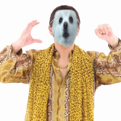 gabe the dog ppap