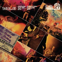 Causa Sui: Ju - Ju Blues (Live in Copenhagen)