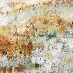 MixCult Records | Moonglade Sound | PANNA COTTA MUSIC