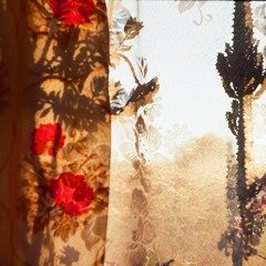 *yara -  ma baaref
